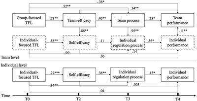The Dual Effect of Transformational Leadership on Individual- and Team-Level Performance: The Mediational Roles of Motivational Processes
